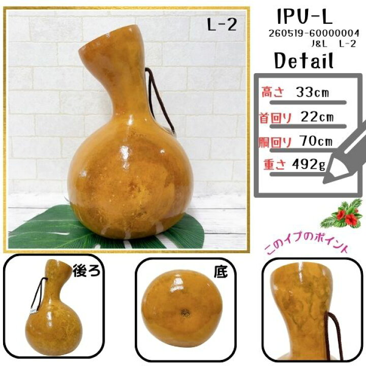 楽天市場】イプ Lサイズ フラ フラダンス 楽器 ハワイ ハワイアン 