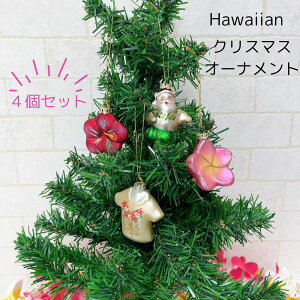 nCANX}X I[ig  4 nCA nC T^ c[ nCAT^ AChwe[W ISLAND HERITAGE@IA