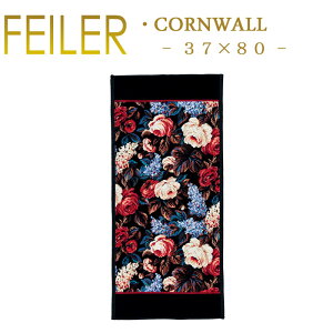  tFC[ nh^I 37×80 R[EH[ CORNWALL Feiler Chenille Hand Towel