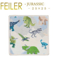 【ネコポス：ハンカチ25×25cm4枚まで同梱対応】 フェイラー ハンカチ 25×25 ジュラシック JURASSIC Fei…