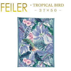  tFC[ QXg^I 37×50 gsJo[h Tropical Bird Feiler Chenille Towel