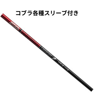 RuijeX[ut@Ot@CgfUC cA[AD VF