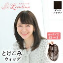 【返品・色交換OK】ボリュームが増えない 極薄ナチュラル 部分ウィッグ 分け目 ウィッグ 自然 頭頂部 部分かつら 白髪…
