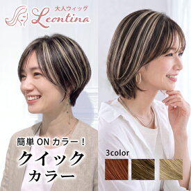 【返品・色交換OK】ボリュームが増えない 極薄 部分ウィッグ 分け目 ハイライト 頭頂部 かつら 白髪隠し ヘアピース トップカバー バレない ウイッグ 薄毛 前髪ウィッグ おしゃれ 40代 50代 60代 とけこみウィッグ メッシュ カラー ポイントウィッグ レオンティーナ つむじ