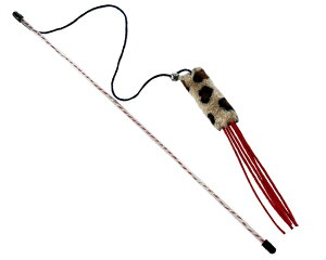 NewVi L炵  IphnEXIWi qE̔L炵