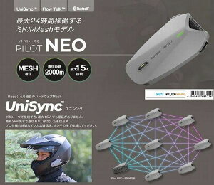�f�C�g�i RESO �i���\�j PILOT NEO �i�p�C���b�g�l�I�j �C���J�� 66272
