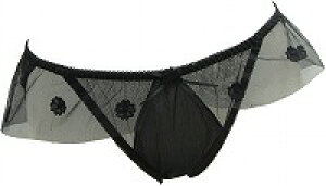 { le miaou (~E)P~JAbvbPV[YX^_[hV[c MTCY #5573F[̂悤ȃ[XɓF̃AbvP|CgfB[X  Ci[ V[c K