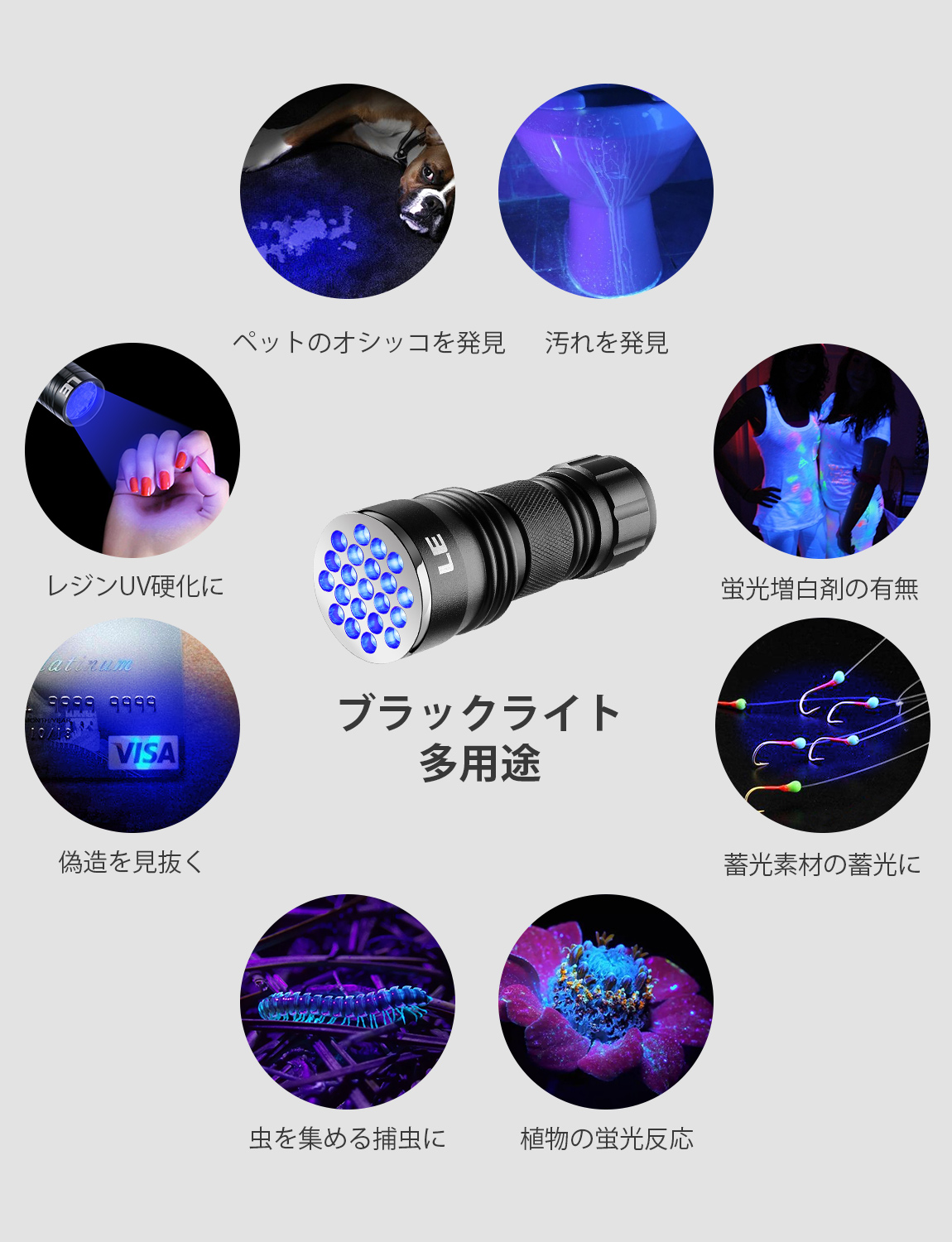 楽天市場】【1年保証】ブラックライト7LED・21LED UVライト 紫外線