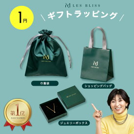 【3,980円以上購入が条件】 ギフト用ショッピングバッグ ジュエリーボックス 巾着袋 1円 ※条件に満たない場合はキャンセルとなります