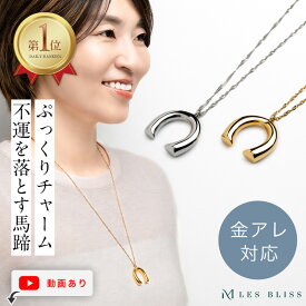 ホースシューネックレス ネックレス ホースシュー 馬蹄 金属アレルギー 金アレ ゴールド シルバー ロングネックレス 大ぶり 幸運 大人 おしゃれ レディース プレゼント ギフト 大人 50代 【永久保証】