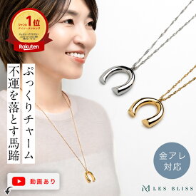 【スーパーセール半額】 ホースシューネックレス ネックレス ホースシュー 馬蹄 金属アレルギー 金アレ ゴールド シルバー ロングネックレス 大ぶり 幸運 大人 おしゃれ レディース プレゼント ギフト 大人 50代 【永久保証】