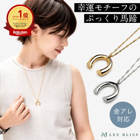 ホースシューネックレス ネックレス ホースシュー 馬蹄 金属アレルギー 金アレ ゴールド シルバー ロングネックレス 大ぶり 幸運 大人 おしゃれ レディース プレゼント ギフト 大人 50代 【永久保証】
