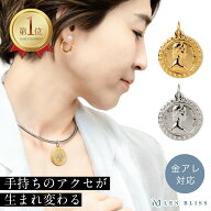 着せかえコインチャーム 金属アレルギー 金アレ ネックレス チャーム コイン ブリティッシュ ゴールド シ…