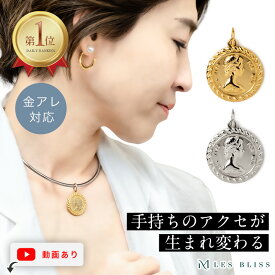 着せかえコインチャーム 金属アレルギー 金アレ ネックレス チャーム コイン ブリティッシュ ゴールド シルバー つけかえ可能 おしゃれ ペンダントトップ レディース ネックレストップ 大人 50代 【永久保証】