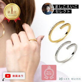 【ましこえいこセレクト】 ツインエタニティリング リング ゴールド シルバー 華奢 フリーサイズ ジルコニア サイズ調整 指輪 おしゃれ レディース 女性 プレゼント ギフト つけっぱなし 大人 50代 【永久保証】