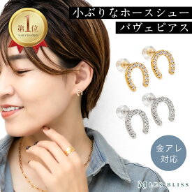 ホースシューパヴェピアス ホースシュー 馬蹄 ピアス ジルコニア 金属アレルギー 金アレ ゴールド シルバー 幸運 大人 おしゃれ レディース ママ プレゼント ギフト スタッドピアス 大人 50代 【永久保証】