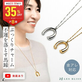 【全品35%OFF+P8倍 本日23:59まで】 ホースシューネックレス ネックレス ホースシュー 馬蹄 金属アレルギー 金アレ ゴールド シルバー ロングネックレス 大ぶり 幸運 大人 おしゃれ レディース プレゼント ギフト 大人 50代 【永久保証】