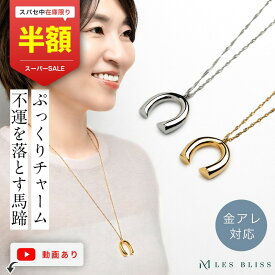 【スーパーセール半額！】 ホースシューネックレス ネックレス ホースシュー 馬蹄 金属アレルギー 金アレ ゴールド シルバー ロングネックレス 大ぶり 幸運 大人 おしゃれ レディース プレゼント ギフト 大人 50代 【永久保証】