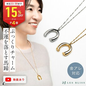 【全品15%OFFクーポン配布中 本日24:59まで】 ホースシューネックレス ネックレス ホースシュー 馬蹄 金属アレルギー 金アレ ゴールド シルバー ロングネックレス 大ぶり 幸運 大人 おしゃれ レディース プレゼント ギフト 大人 50代 【永久保証】