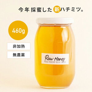 [ 鍁] VR݂͂ ME_ 460g POCO MUCHO Y sgp ɕrl Mtg #{{