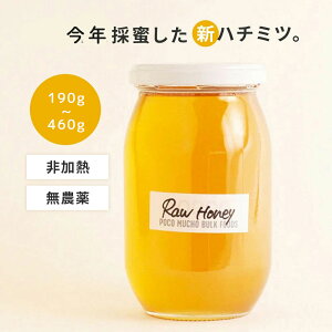 [ 鍁] VR݂͂ ME_ 190g ~460g POCO MUCHO Y sgp ɕrl Mtg #{{
