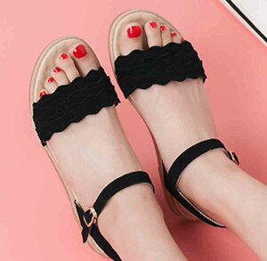 T_ fB[X  U[ t ؂ ₷ V[Y uh Xbp  ɂ É   V[ r[` ItBX g X|[c lC  i[X q