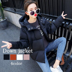 _EWPbg fB[X t[ht_EWPbg H g O _E lC h  V[g ~ t uh 傫TCY _ER[g  40 R[g 20 Wp[ V