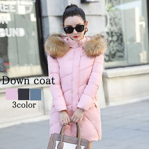 _EWPbg fB[X t@[t[h~h_E    h  ~ 20 uh y 傫TCY O _E Wp[ X _ER[g 40 ꂢ t[h V