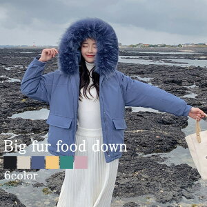 _EWPbg fB[X rbOt@[t[h_E y _ER[g t[h 傫TCY 40 Wp[ y   O h ꂢ n[t ~ lC  R[g  t X 