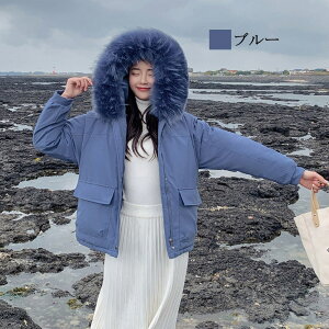 y_N[|p20%OFF!^z _EWPbg fB[X rbOt@[t[h_E y _ER[g t[h 傫TCY 40 Wp[ y   O h ꂢ n[t 