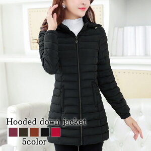 _EWPbg fB[X t[ht_EWPbg y _ER[g t[h 傫TCY 40 Wp[ y   O h ꂢ n[t ~ lC  R[g  t X 