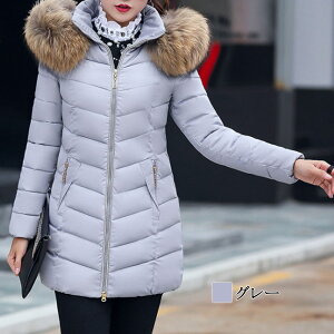 y_N[|p20%OFF!^z _EWPbg fB[X {[_ER[g  R[g 40 傫TCY  y n[t V[g uh t[h lC y ~ t ꂢ 