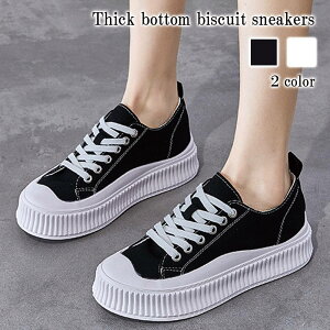 おしゃれ スニーカー レディース ブランドの人気商品 通販 価格比較 価格 Com