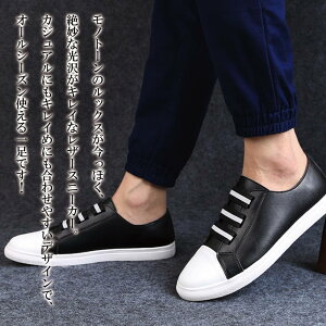 y_N[|p20%OFF!^z Xj[J[ Y mNU[V[Y H [Jbg V[NbgV[Y   ƂȂ  t  U[ {v zCg }WbN  CR 