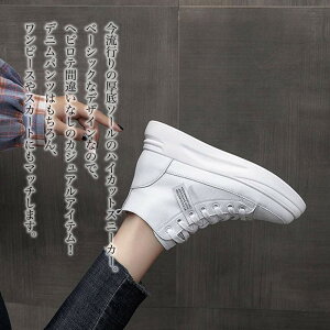 y_N[|p20%OFF!^z Xj[J[ fB[X nCJbgXj[J[ LoX {A O[ sN   5E 킢 Ȃ nCJbg 4E V ~  24.5  