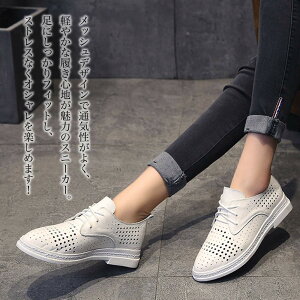 y_N[|p20%OFF!^z hXV[Y [XAbvV[Y bV[XAbvV[Y ɂȂ L [q[ fB[X IbNXtH[hV[Y t uh q[ 