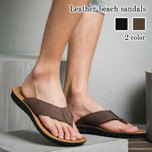 T_ Y U[r[`T_ Xbp h RtH[gT_  t V[T_  ~ X|[cT_ 傫TCY lC T{T_ r[`T_ l 