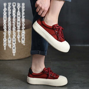 y_N[|p20%OFF!^z Xj[J[ fB[X LpXXj[J[ LeBO  y sN 3E {A V L nCJbg 4E Xb|  y 24.5 v H 5E C 