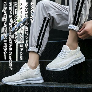 y_N[|p20%OFF!^z Xj[J[ Y XXj[J[ [Jbg   L  V[NbgV[Y H ƂȂ ~ jO nCJbg 4E   ubN h }