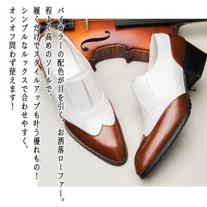 y_N[|p20%OFF!^z [t@[ Y oCJ[[t@[  RXp  R[f u[c vC pvX C ~ v w  JV JWA  oGV[Y H 