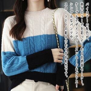 y_N[|p20%OFF!^z Z[^[ fB[X oCJ[P[ujbgZ[^[ ^[glbN   킢  P[u҂ g[i[ lC   uh  nC