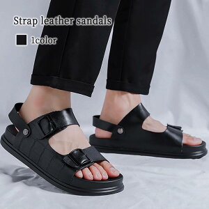 T_ Y XgbvU[T_ U[ RtH[gT_ C  Xbp r[`T_ h {v  ~ t Xb| lC T{T_ g 傫TCY ItBX