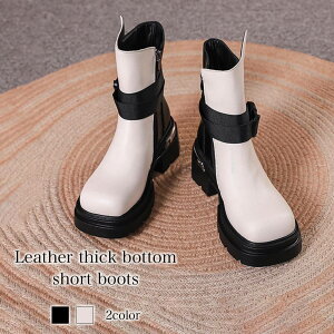 u[c fB[X U[V[gu[c ~h g ~h v  h  y ₷ p t EH[LO [XAbv ꂢ Ȃ h J H V[g q[