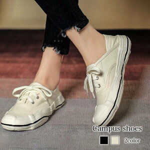 Xj[J[ fB[X LpXV[Y uh 3E ₷ nCJbg 4E Ȃ {A sN LeBO V[Y y     C  lC ~ t V 24.5 L