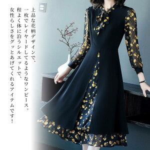 y_N[|p20%OFF!^z s[X fB[X hbLOԕs[X 40  H   20 50  lC  AEghA 傫TCY ̊ l XJ[g ꂢ