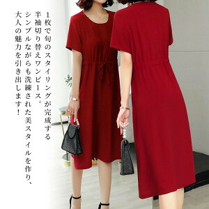 y_N[|p20%OFF!^z s[X fB[X EhlbN؂ւs[X ꂢ  l 20  uh    t 傫TCY lC 50 [EFA 