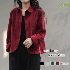 Vc fB[X R[fC[YVc S l uh H 킢 t  `Ԉ ݕt uEX JWA  g   X|[c  ɂȂɂ