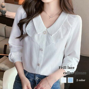 uEX fB[X t[XJ[uEX t TVc  VtH 50 ~ Jbg\[ i   t ꂢ Vc m[AC X[c [X s[X uh 