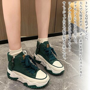 y_N[|p20%OFF!^z Xj[J[ fB[X TChWbvXj[J[ Xb| y H   V y O[ 5E y  ~ 24.5 uh v t Ȃ nCJbg 