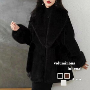 u] fB[X {[t@[R[g lC R[f rWlX V[g ~^[WPbg AE^[ t EFA WPbg }Ee X^W   p[J[ 傫TCY 